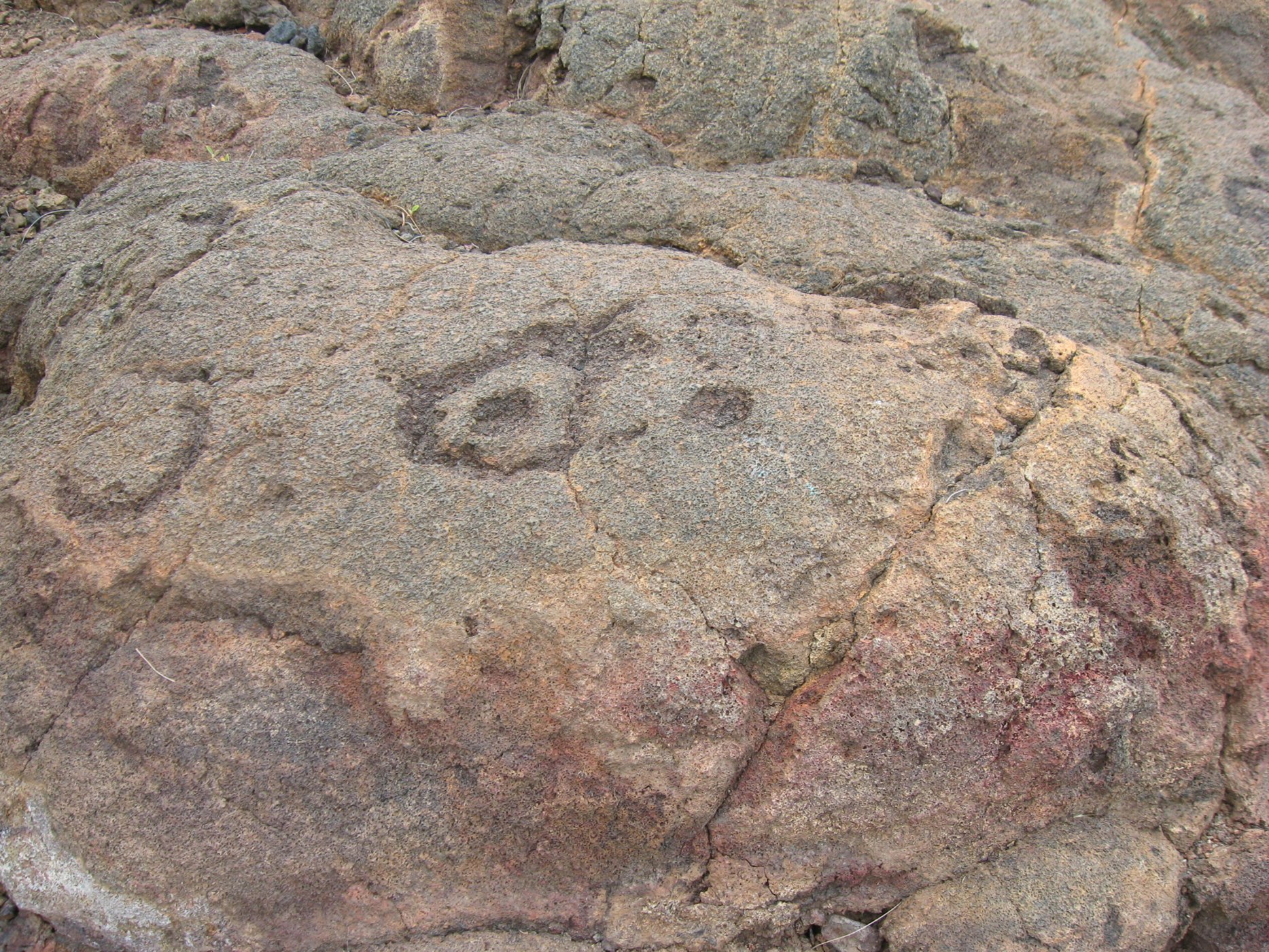 Waikoloa Petroglyph Preserve